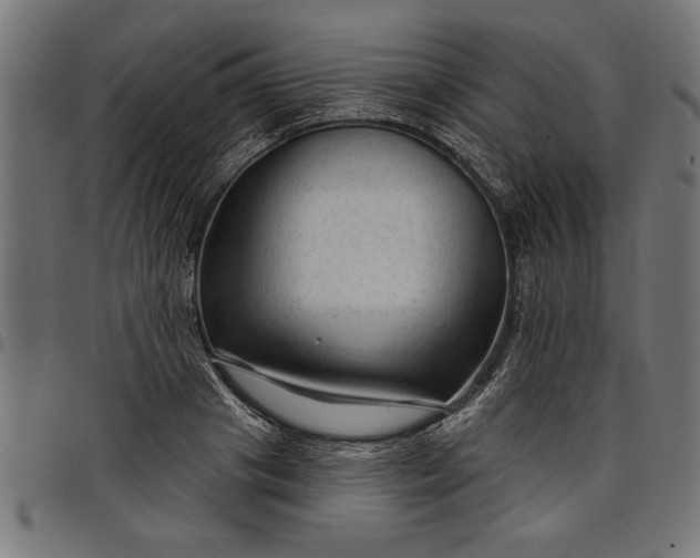 X0000097870841200803281159