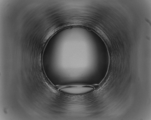 X0000097870842200803281159