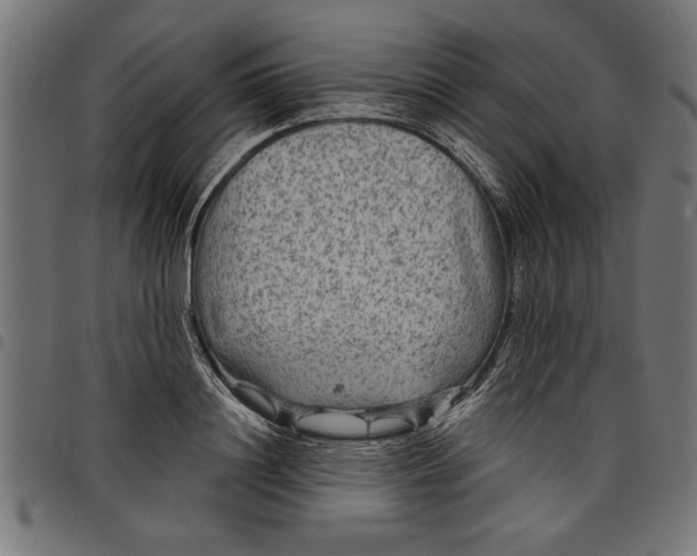X0000097870844200803281159