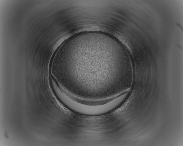X0000097870845200803281159