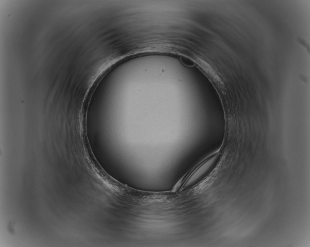 X0000097870846200803281159