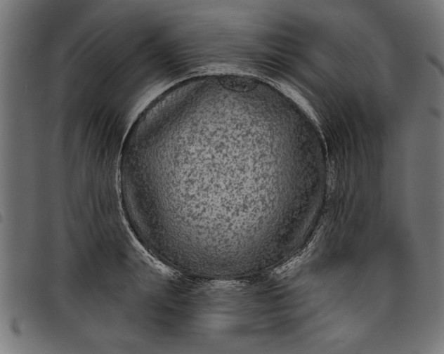 X0000097870847200803281159