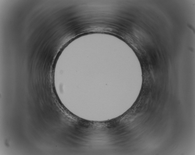 X0000097870848200803281159