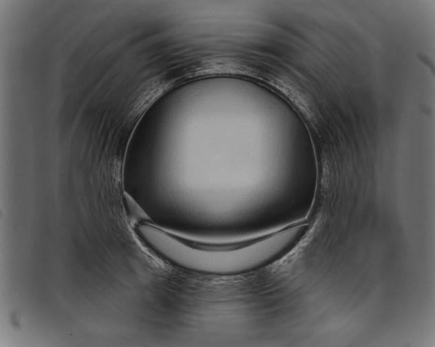 X0000097870849200803281159