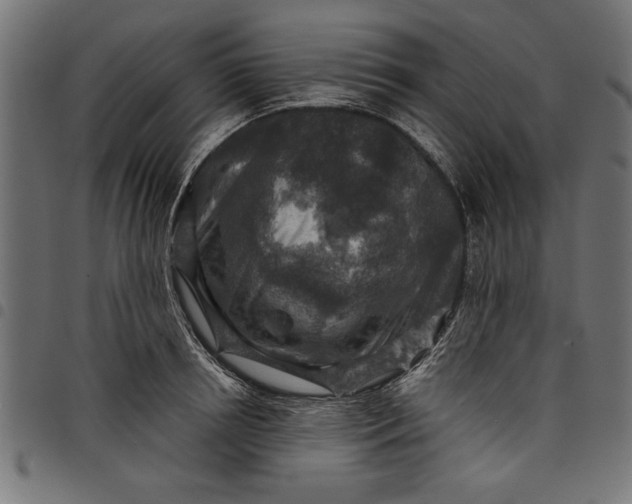 X0000097870850200803281159