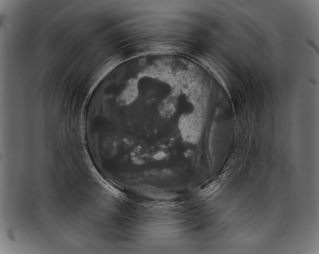 X0000097870851200803281159