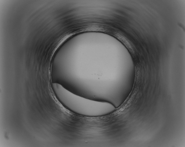 X0000097870852200803281159