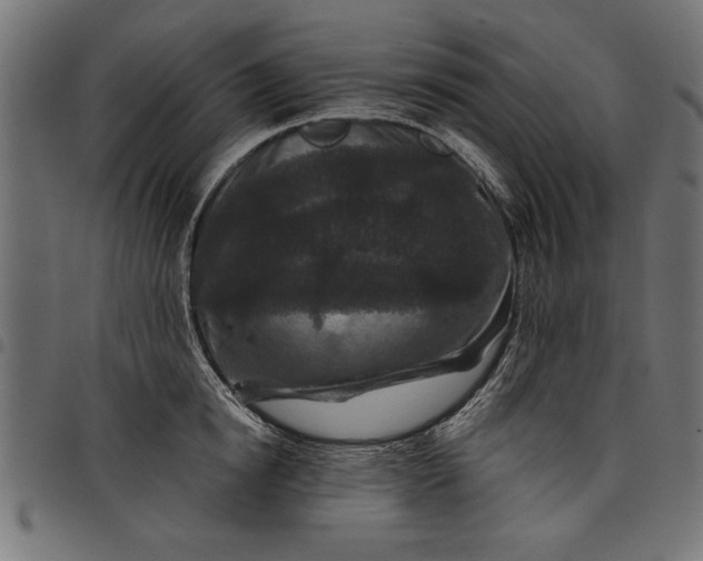 X0000097870854200803281200