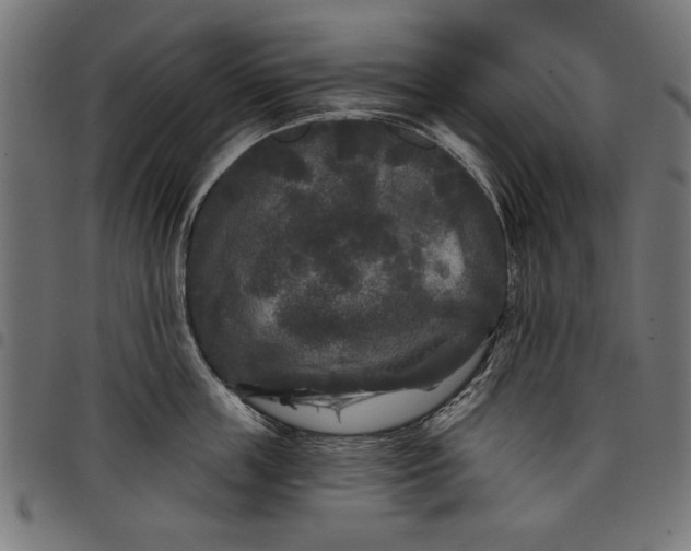 X0000097870859200803281200