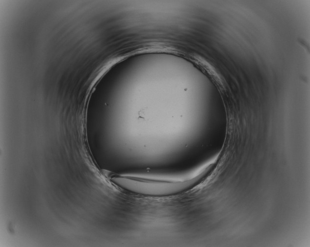 X0000097870860200803281200