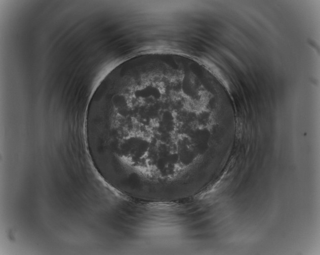 X0000097870863200803281200