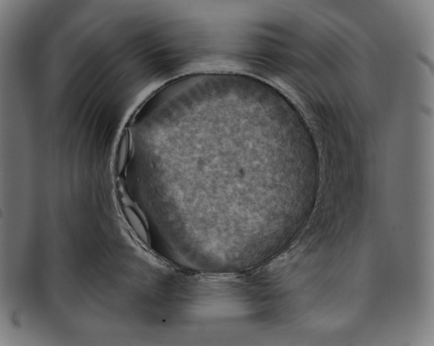 X0000097870864200803281200
