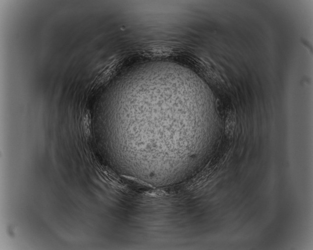 X0000097870866200803281159
