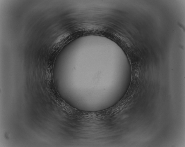 X0000097870869200803281159