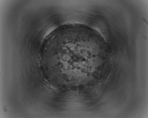 X0000097870871200803281159