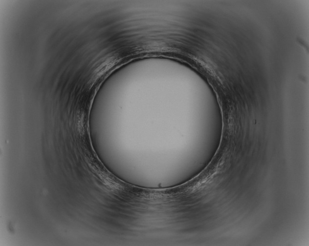 X0000097870873200803281159