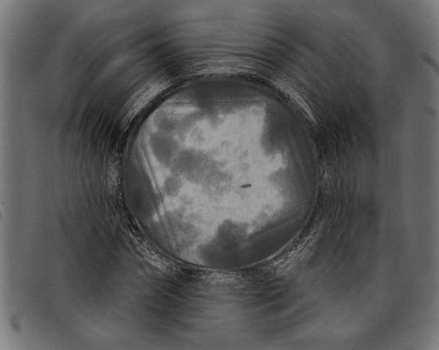 X0000097870874200803281159