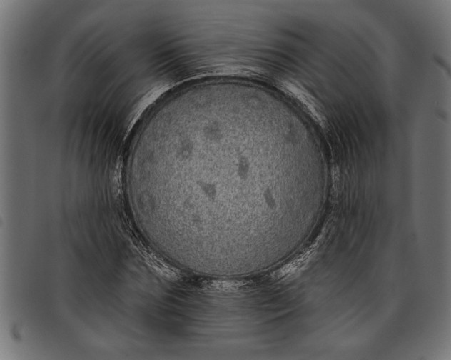 X0000097870875200803281159