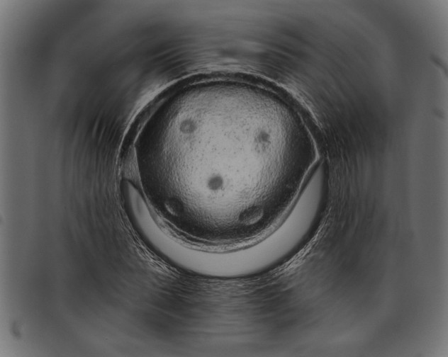 X0000097870879200803281159