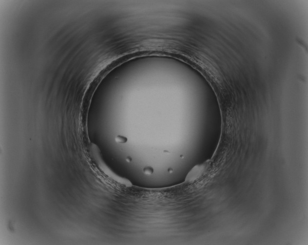 X0000097870880200803281159