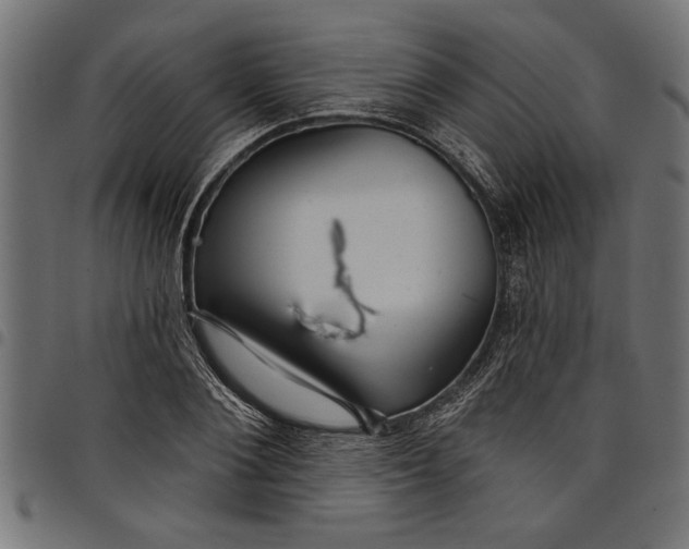 X0000097870884200803281159