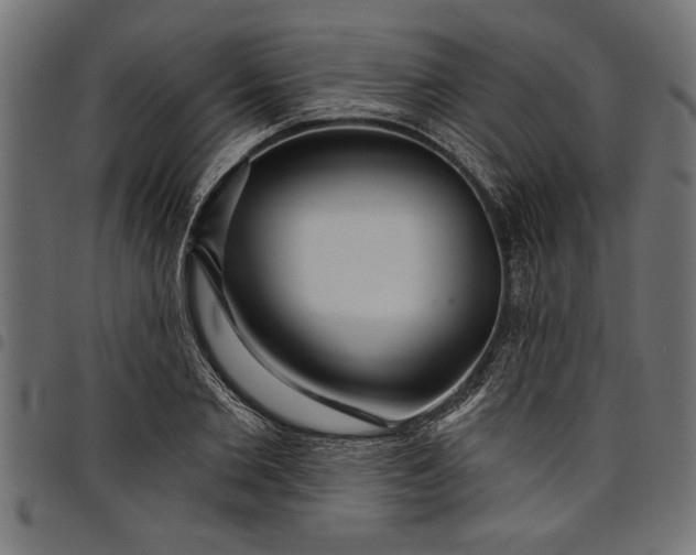X0000097870885200803281159