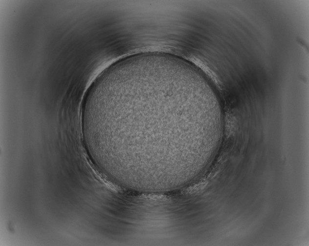 X0000097870886200803281159