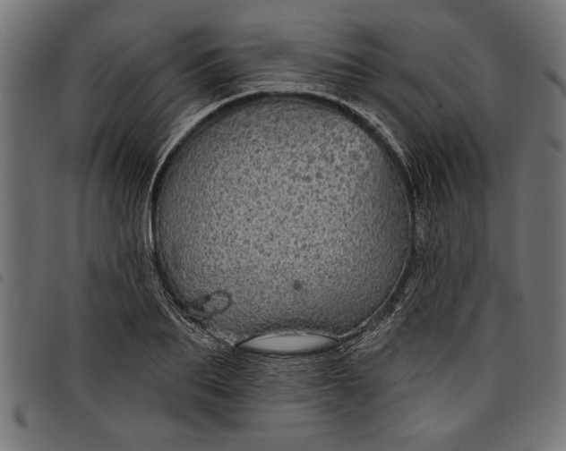 X0000097870887200803281159