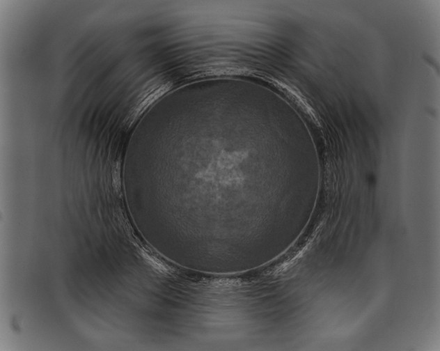 X0000097870889200803281159
