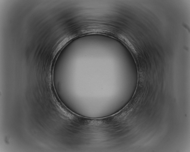 X0000097870890200803281159