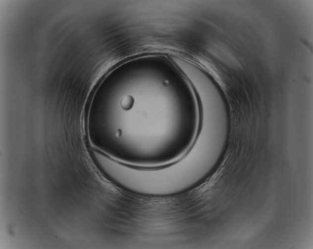 X0000097870891200803281159
