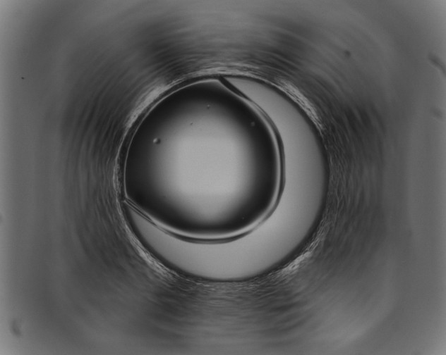X0000097870893200803281159