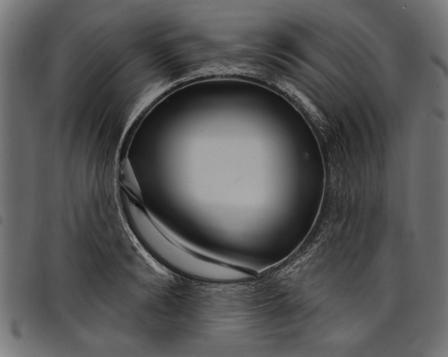 X0000097870894200803281159