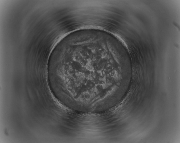 X0000097870895200803281159