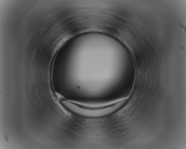 X0000097870898200803281159