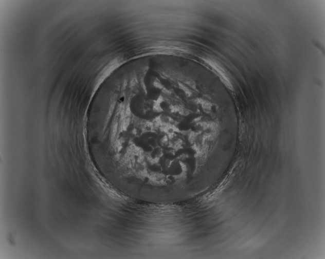 X0000097870899200803281159