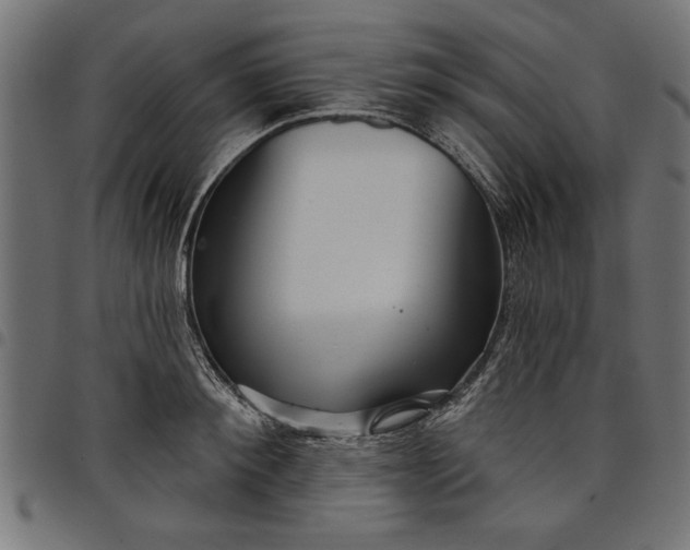 X0000097870900200803281159