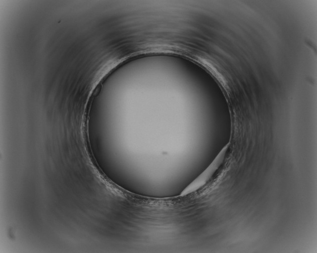X0000097870901200803281158