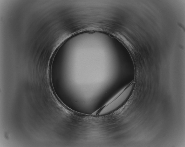 X0000097870902200803281158