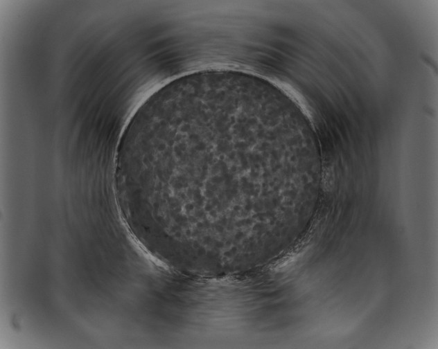 X0000097870903200803281158
