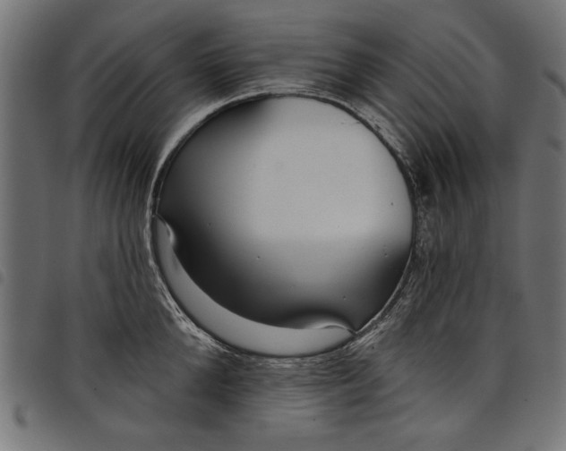 X0000097870904200803281158