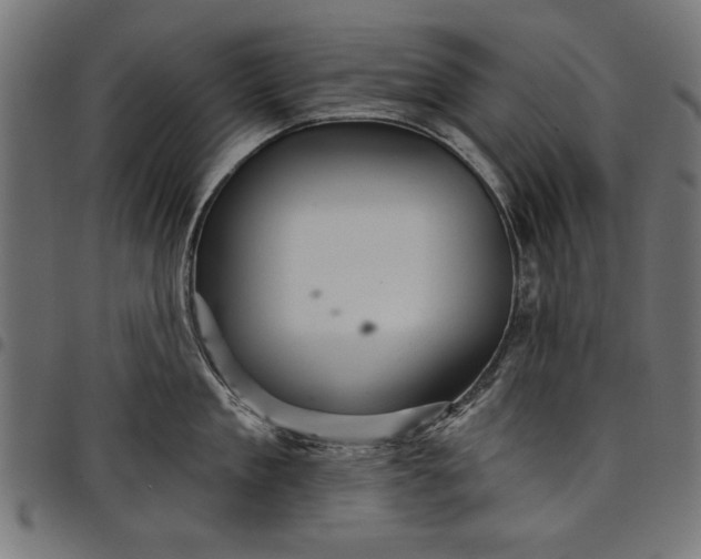 X0000097870909200803281158