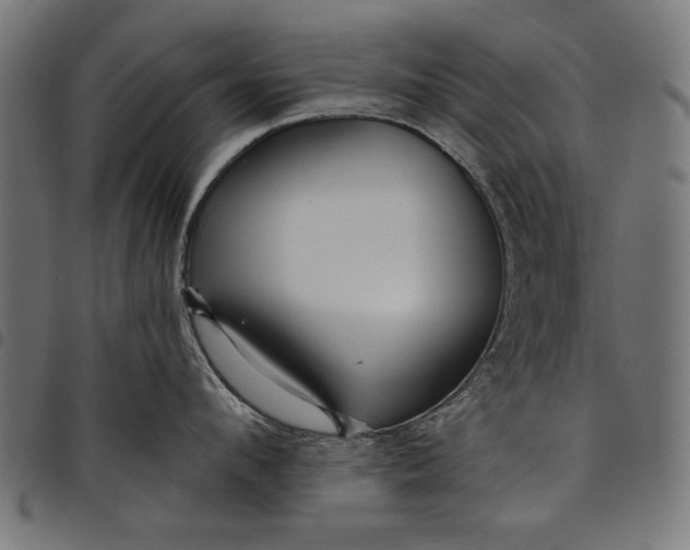 X0000097870912200803281158