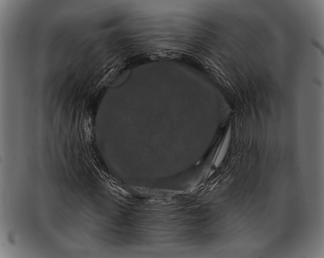 X0000097870915200803281158