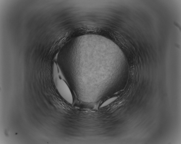 X0000097870916200803281158