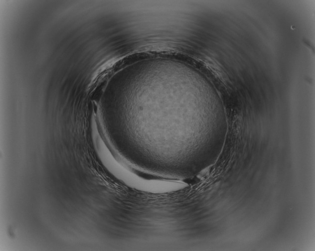 X0000097870920200803281158