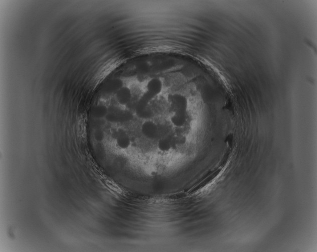 X0000097870921200803281158