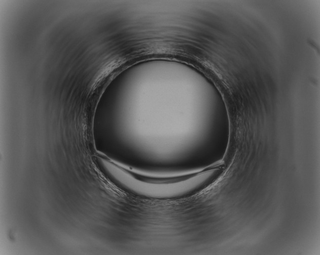X0000097870922200803281158