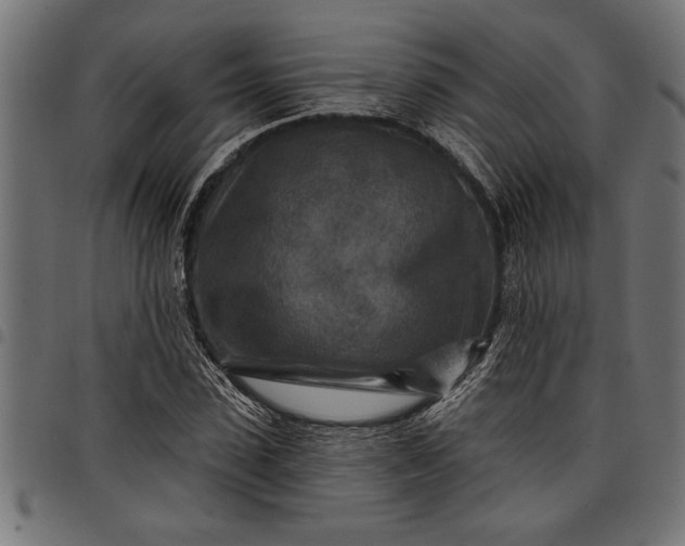 X0000097870923200803281158