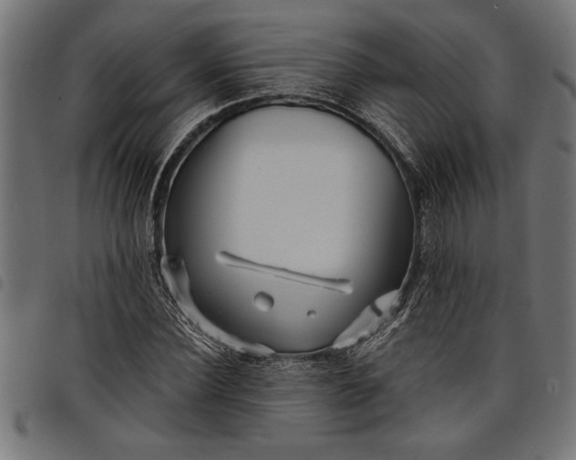 X0000097870924200803281158